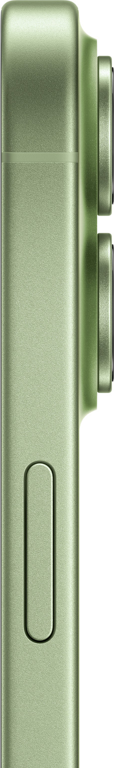 Refurbished APPLE iPhone 17 (Sage, 256 GB)